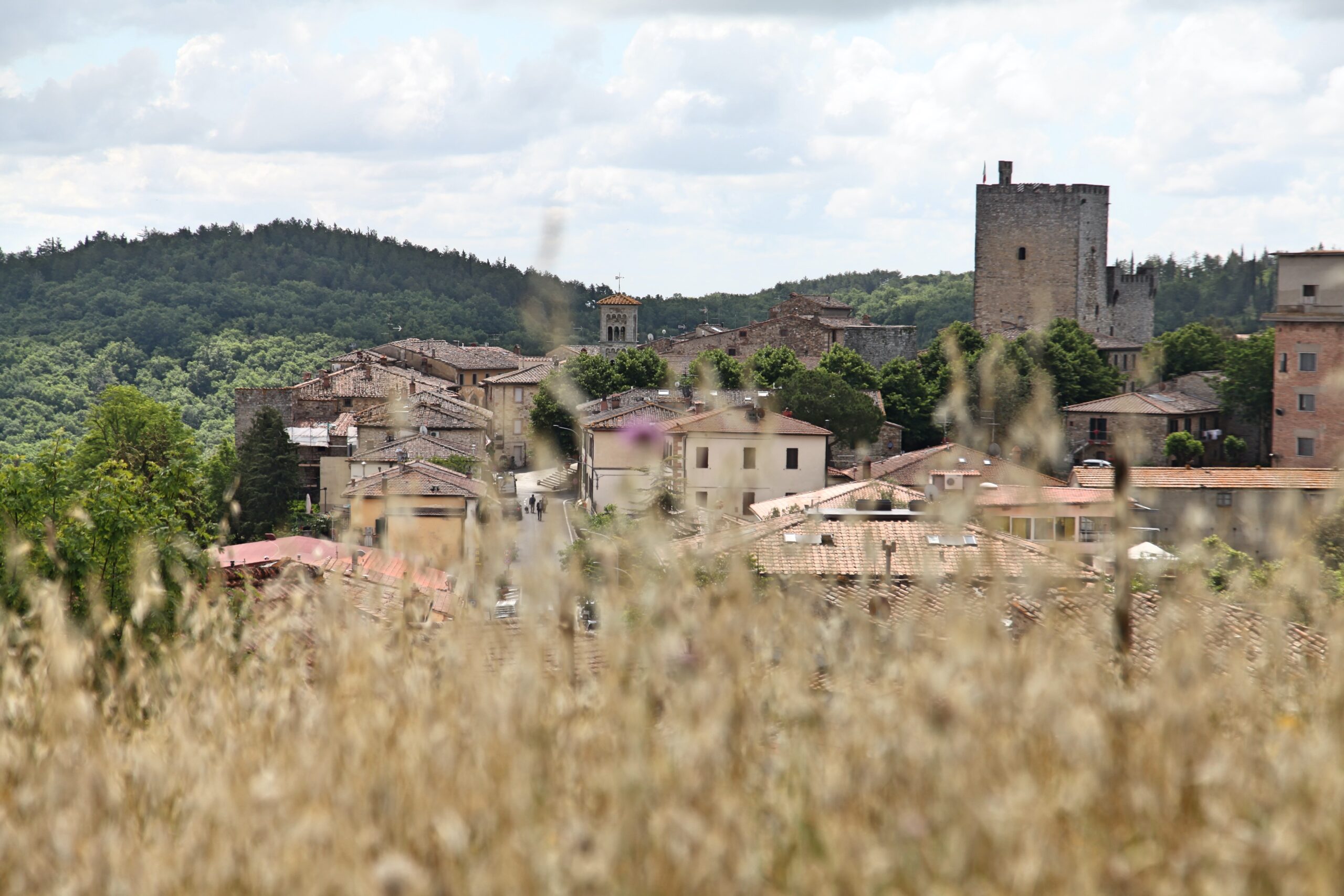 The Via Romea Sanese, a greenway between Florence and Siena