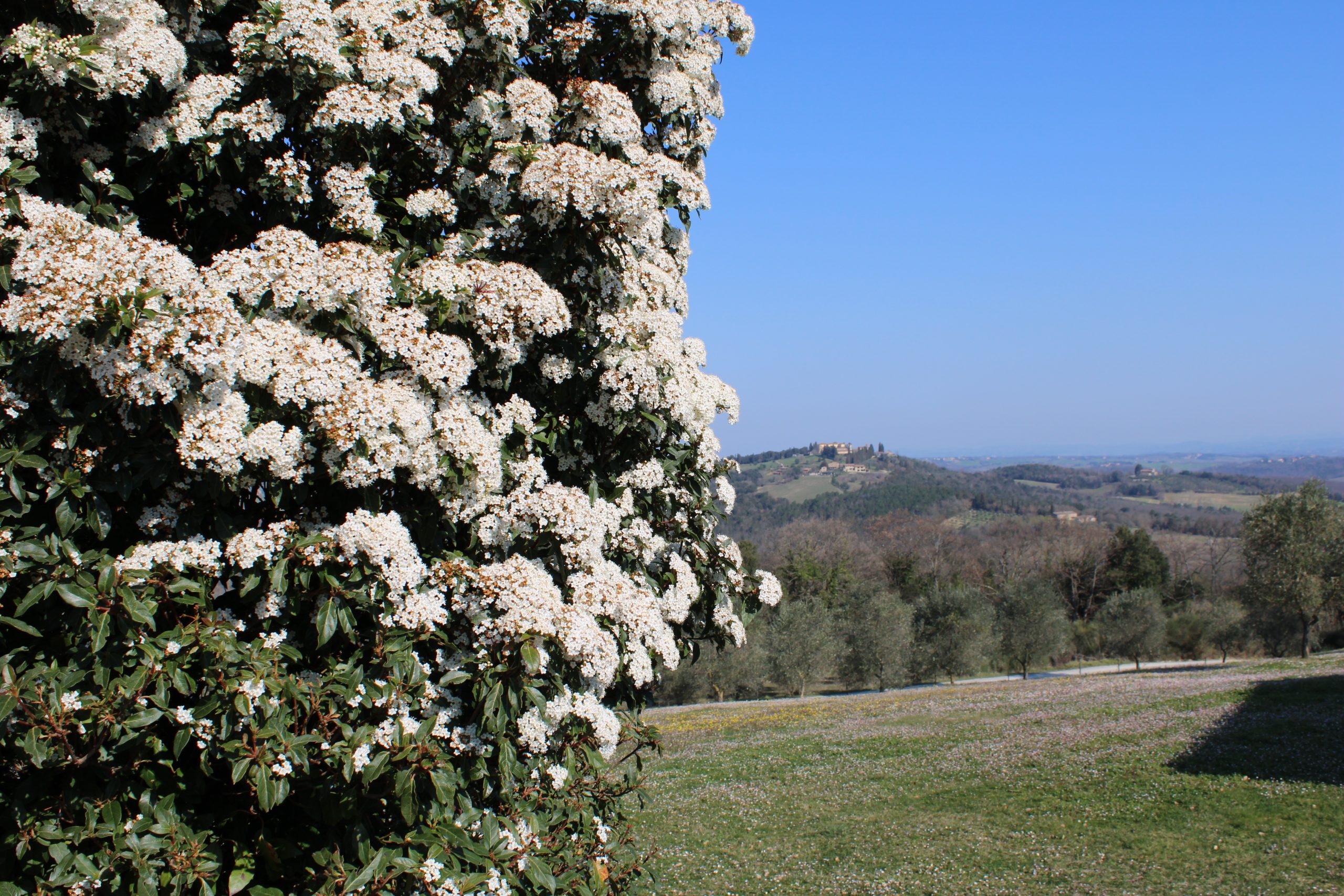 Boscaglia, the green heart of Tuscany