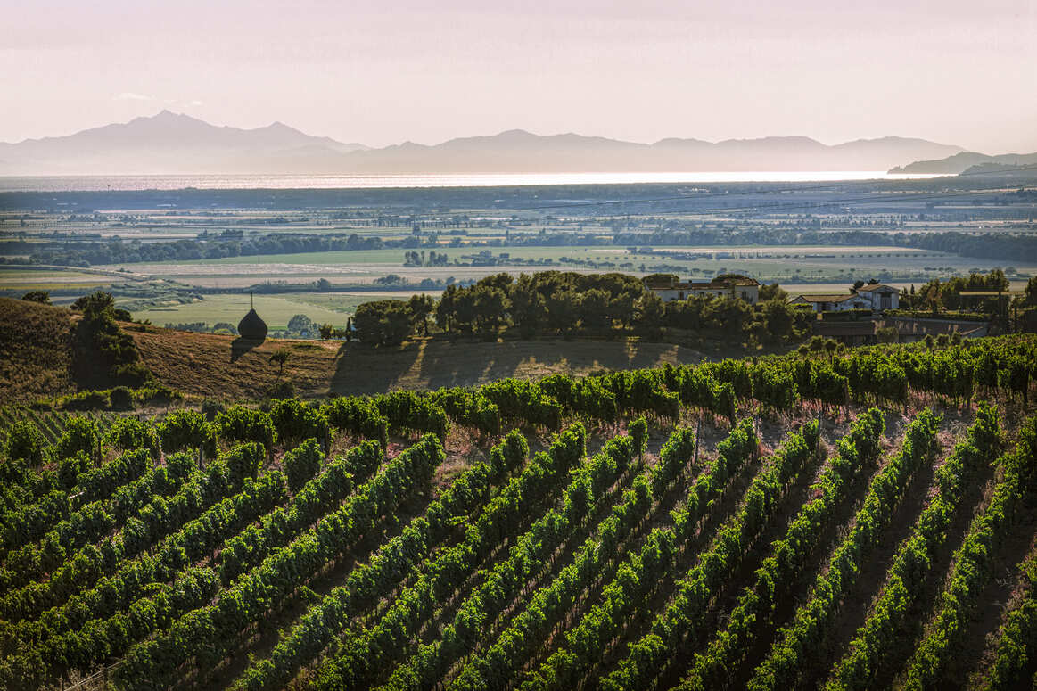 The land meets the sea at the Tenuta del Belguardo