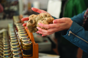 La 41° Mostra Nazionale del Tartufo Bianco