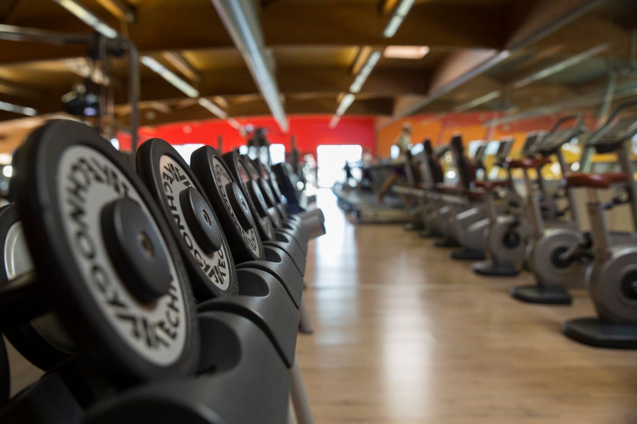 The first step towards daily wellness