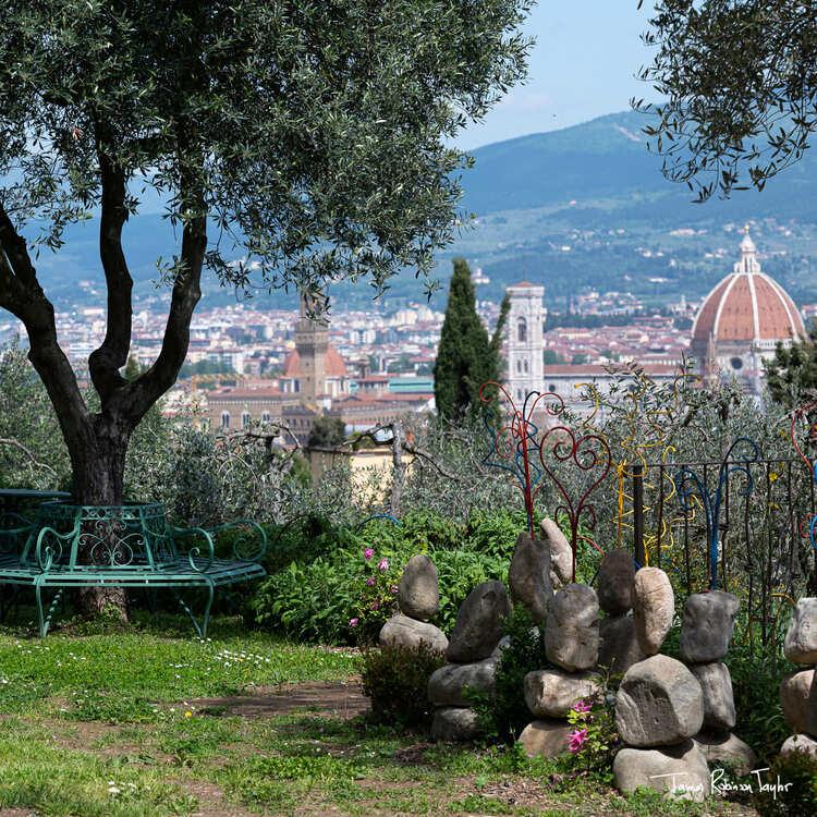 A garden with a view