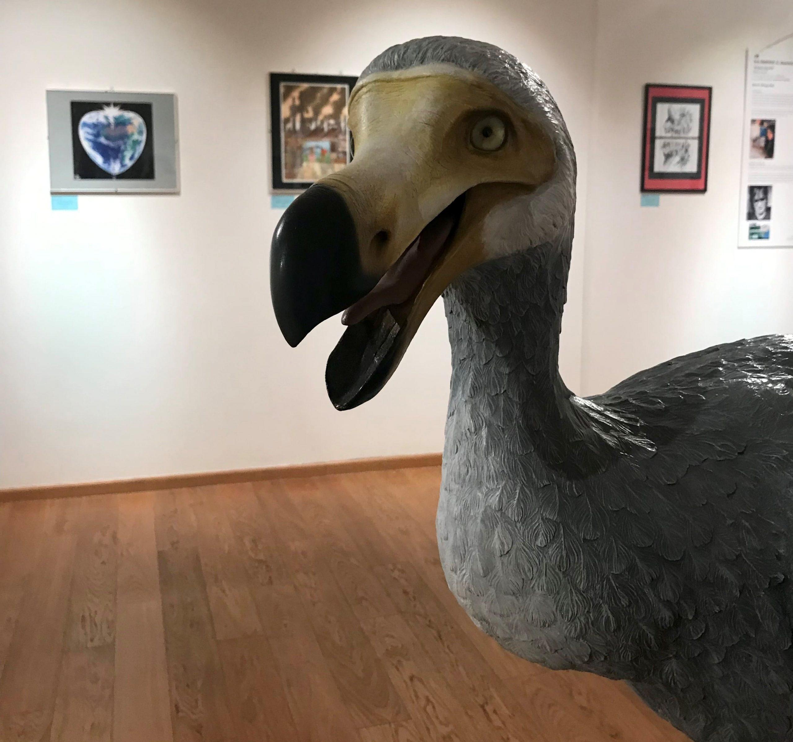 Mostre ed eventi al Museo civico di Palazzo della Penna di Perugia