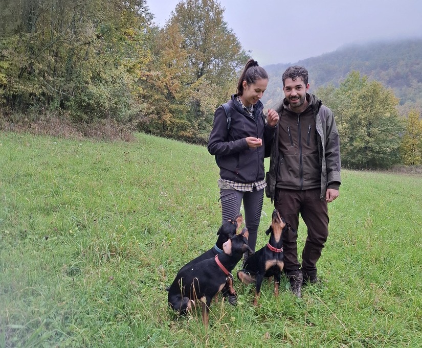 Rosabrina at the Court of King Truffle