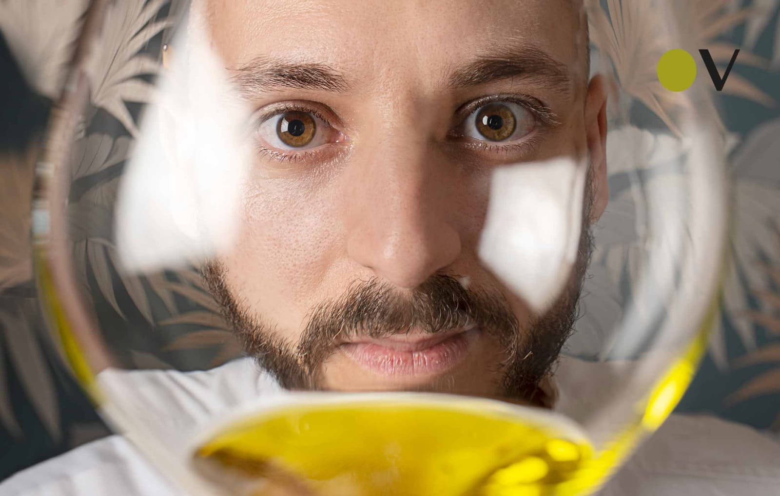 “Novo”: The New Event Celebrating Chianti Classico PDO Olive Oil