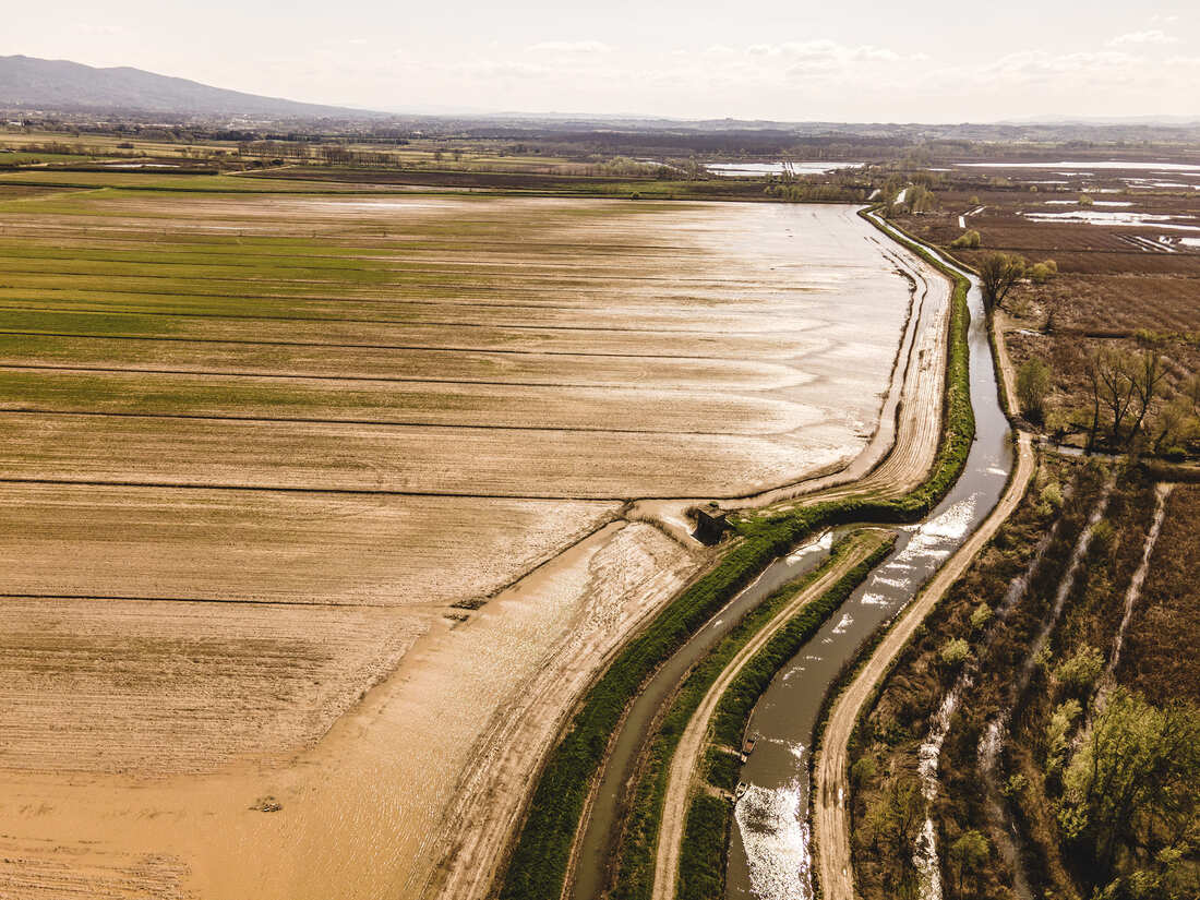 Padule di Fucecchio, dove la natura custodisce la memoria