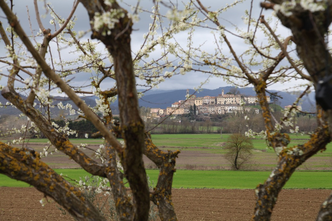 La Pieve Vecchia, dove il gusto incontra il paesaggio