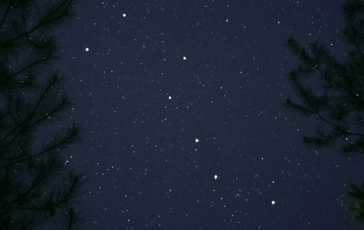 On the Value of Signs